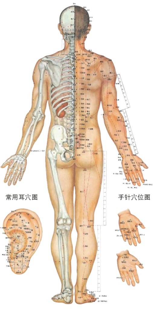 therapist applying pressure back clothed session
